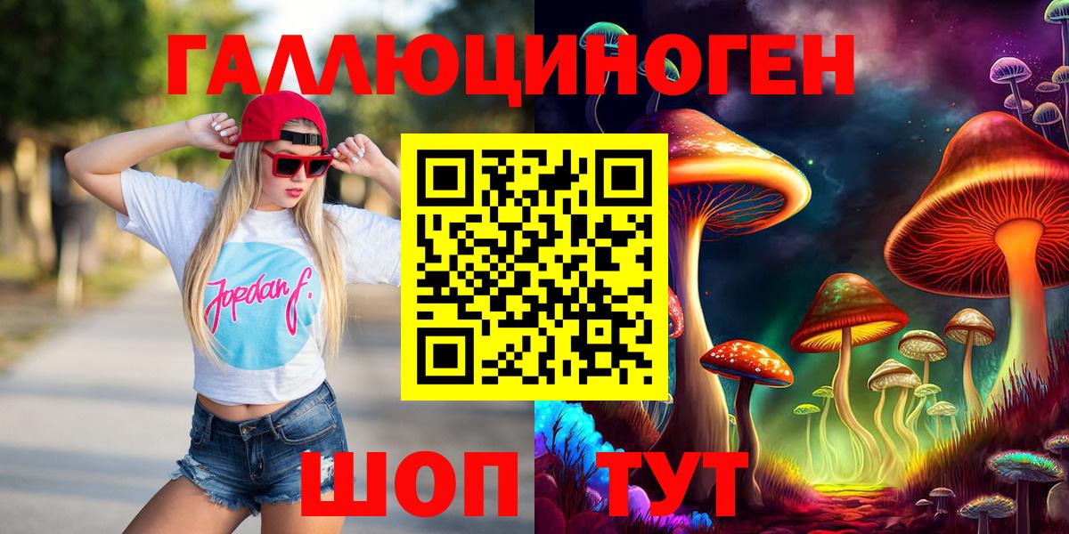 Псилоцибиновые грибы Psilocybine cubensis Тейково